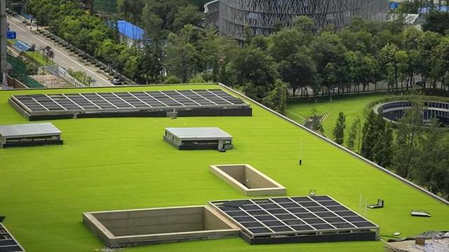 河南1高校屋顶装植物空调365天不浇水，一层土生长隔热降温，啥样