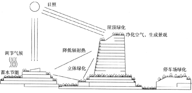 河南1高校屋顶装植物空调365天不浇水，一层土生长隔热降温，啥样