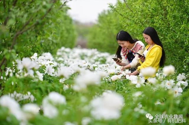 涨姿势！农业人必知的18种农业类型