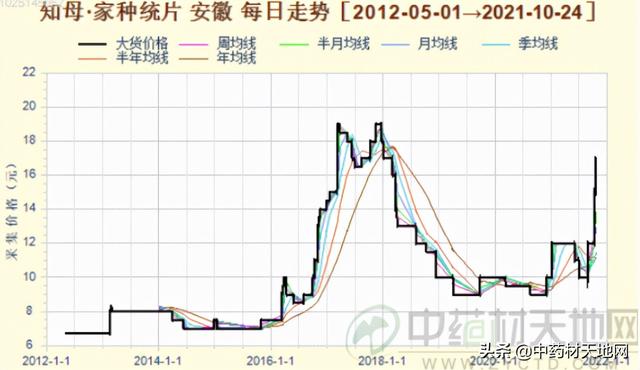 青黄不接的知母还未产新 行情为何短期内迎涨势？