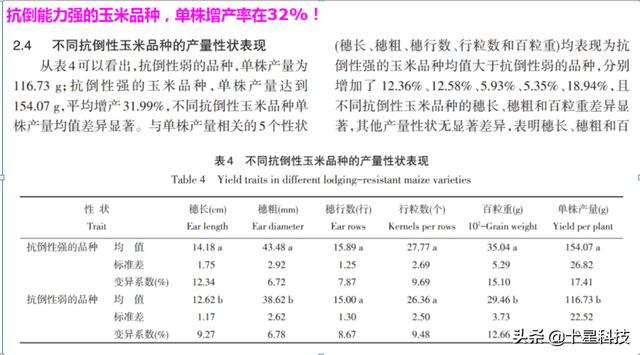 中外玉米专家5个证据：密植玉米，这一个条件必须满足