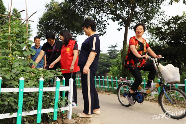 江苏24小时·滚动推送｜宿迁市泗洪县：石榴套油葵 一年创收70余万元