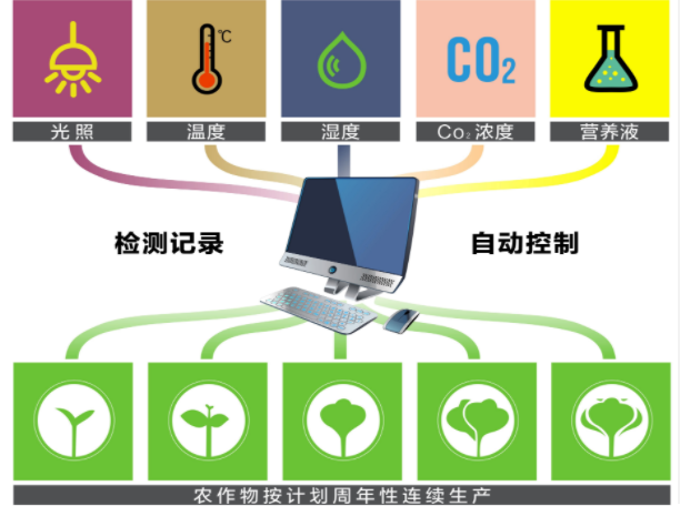 植物工厂发展势头迅猛：能耗降低是难点，应用拓展很关键