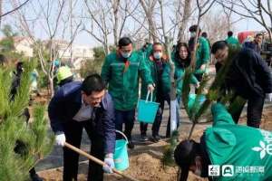 黑松种植基地(视频丨春风十里 不如植树有你 160株黑松在市北区“安家落户”)