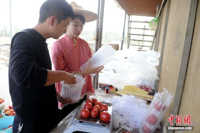 回乡种地，立志当农民！“90后”学霸夫妻的深山逐梦路