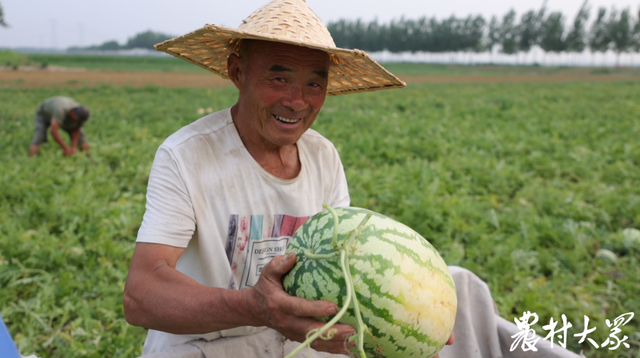 有了“西瓜地图”，瓜农也能清凉度夏