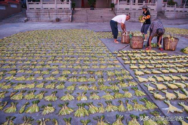 种植成本仅需10000元，每年赚30万？低成本农村暴利种植！