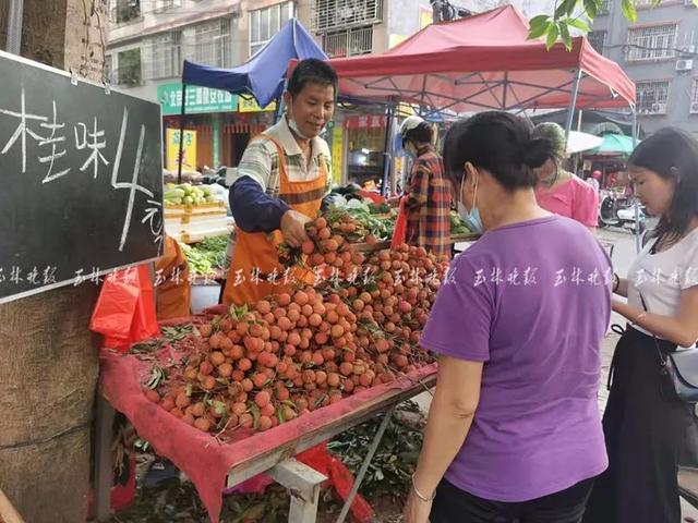 低至3元！玉林桂味将大量上市，有人跨越3000公里来收购