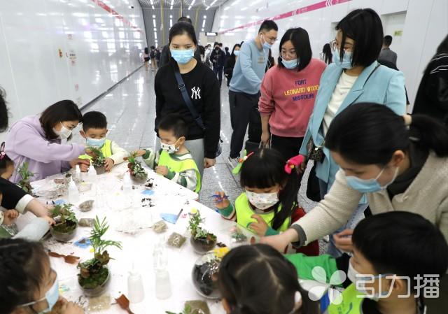 小朋友制作“微景观绿植”迎接植树节