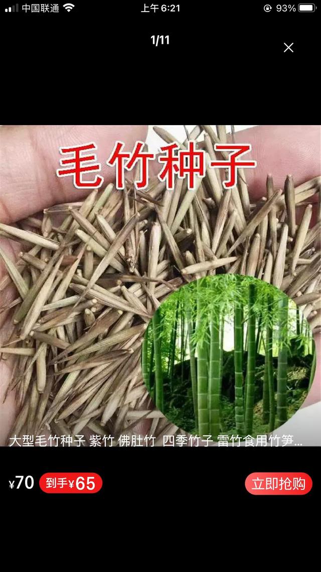 真是活久见，干的种子可以种出竹子吗？