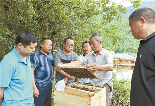 沅陵县：乘风破浪扬风帆