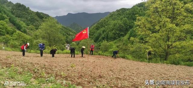 【“三个共同”促振兴】豆坝镇：“小杂粮”种植做好乡村振兴“大文章”