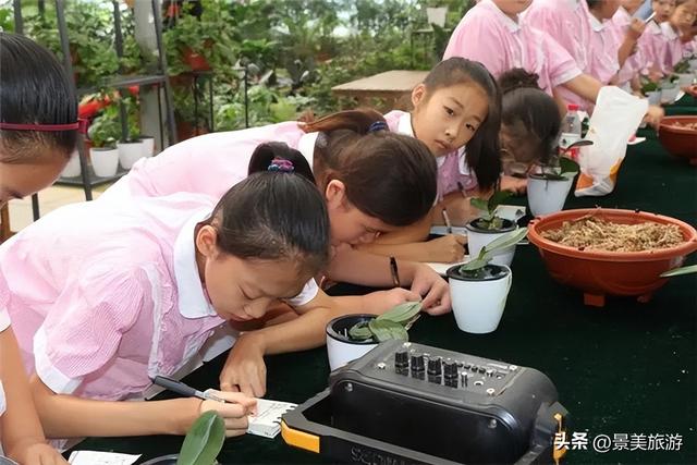 在花园里研学，在研学中学习花卉园林艺术，佛山旺林艺术花园研学