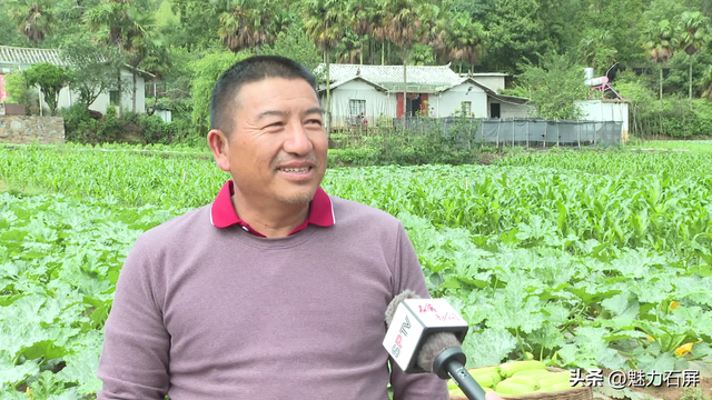 拖竜黑村：“方寸之地”铸就致富之门 特色产业开出 “致富花”