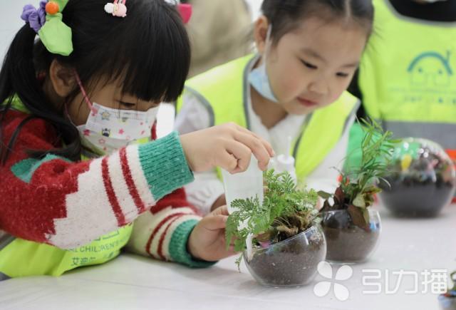 小朋友制作“微景观绿植”迎接植树节