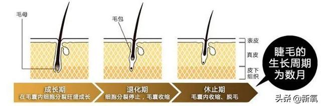 乔欣居然推荐用了会变瞎的睫毛增长液？