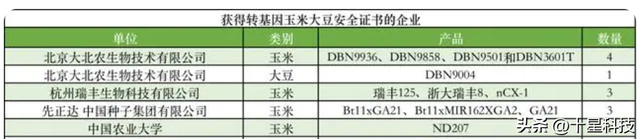 玉米品种2023年“三大新变局”：抗高温，抗虫，免控旺而不怕倒伏