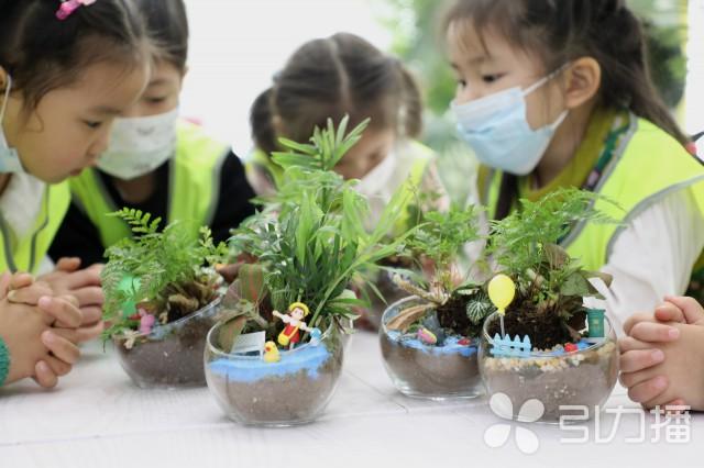 小朋友制作“微景观绿植”迎接植树节