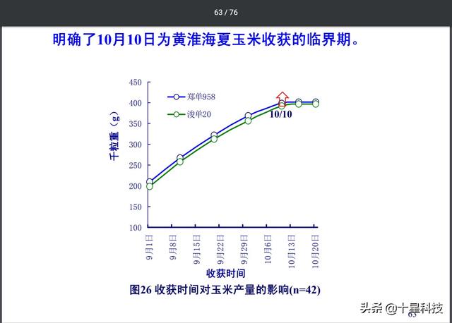 中外玉米专家5个证据：密植玉米，这一个条件必须满足