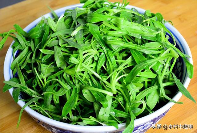 农村人春天爱吃的野菜，俗称“面条菜”，好吃又营养，你吃过吗？