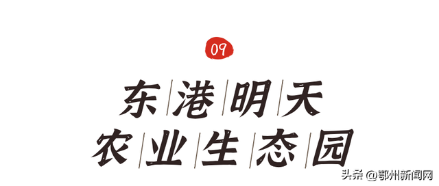 假期来这里！免费花海、田园风格、拍照胜地！