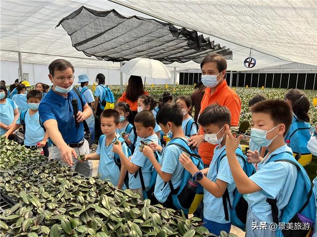 在花园里研学，在研学中学习花卉园林艺术，佛山旺林艺术花园研学