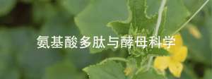 南方露天草莓种植时间(南方种菜时间表，这都是祖先留给我们的农业种植经验与智慧)