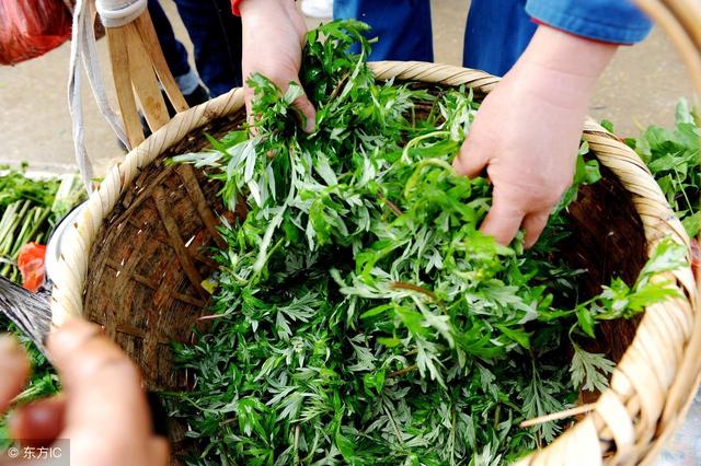 艾草虽然种植前景广阔，但不是哪里都可以种植的，这个你知道吗