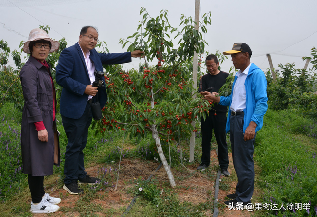 回家包地种植果园，怎么做才能多赚钱，这些事项你了解吗