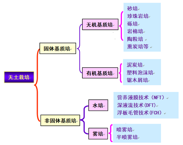 无土栽培，你真的了解吗？