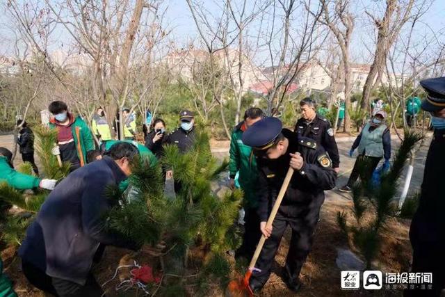 视频丨春风十里 不如植树有你 160株黑松在市北区“安家落户”