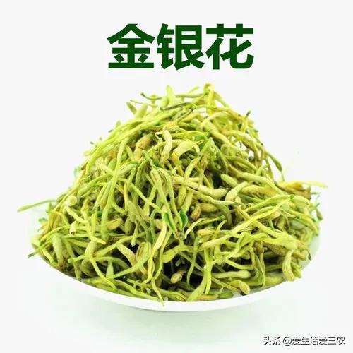 种植粮食不赚钱？来种植这10种药材吧，技术简单收益高