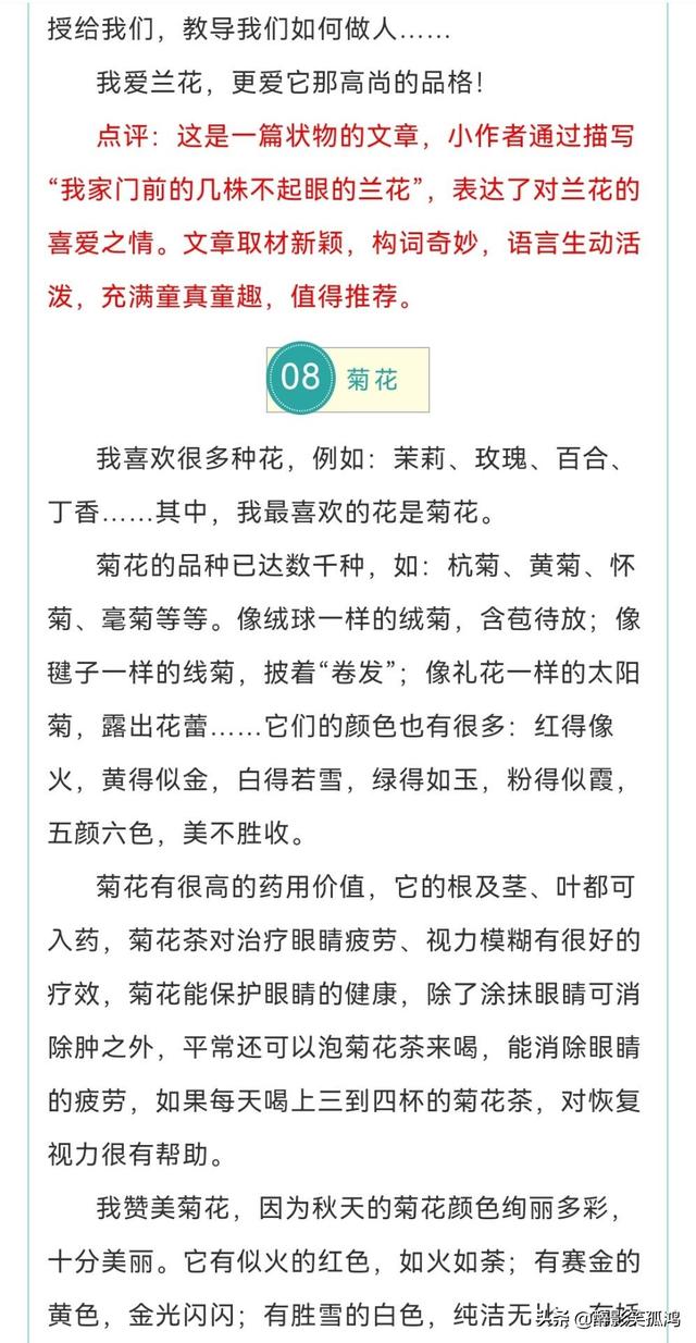 三年级语文下册习作1《我的植物朋友》范文，提供写作指导