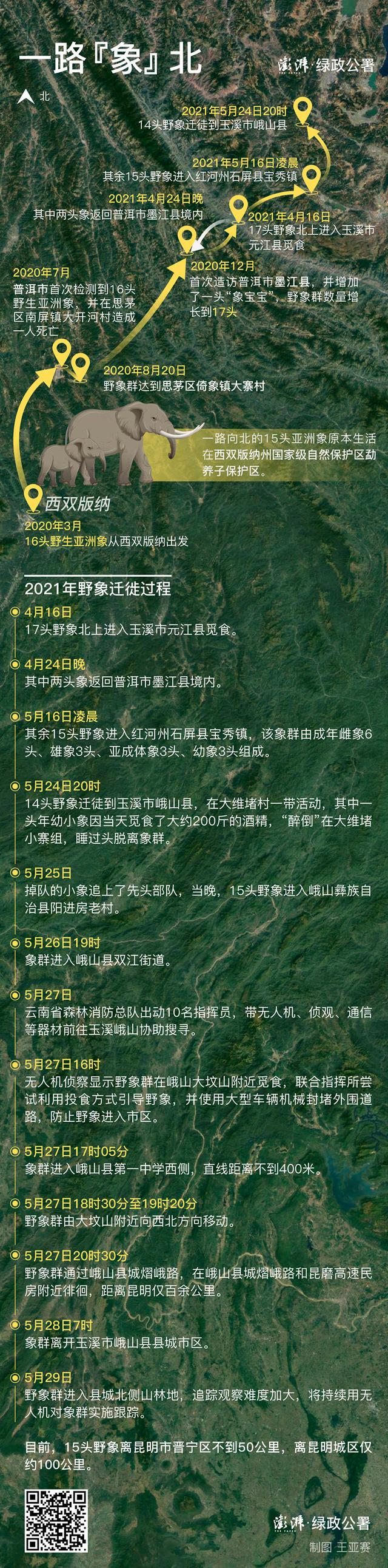 15头野象北徙八百里背后：栖息地缩减严重，该如何劝返？