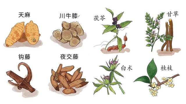 独家揭秘：药材种植的全过程，带你赢在药材市场起点！