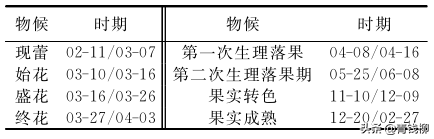 京郊连栋温室不知火杂柑生长结果表现及栽培技术