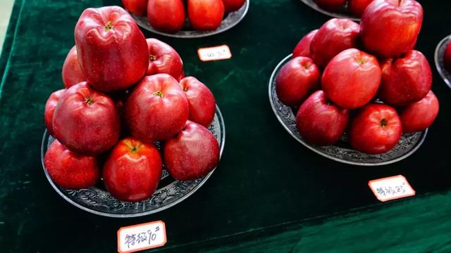 苹果中的扫地僧“花牛”：时髦颜值，口感爆炸，你们不知道只因我很低调