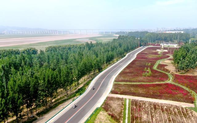 新时代中国调研行·黄河篇丨景美河畅绿意浓——河南黄河流域生态保护和高质量发展观察