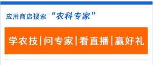 大邑西瓜种植基地(一颗车厘子等于一个鸡蛋，今年水果为什么那么贵？)