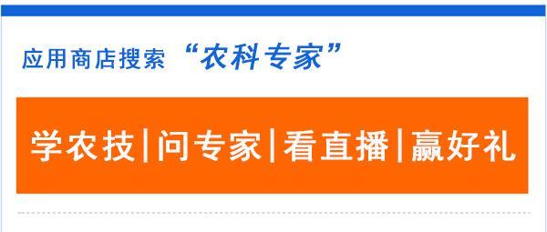 一颗车厘子等于一个鸡蛋，今年水果为什么那么贵？