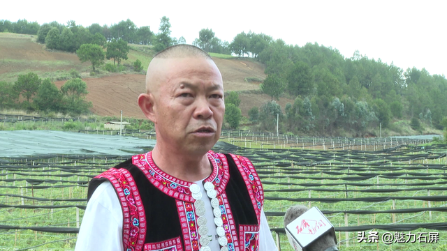 拖竜黑村：“方寸之地”铸就致富之门 特色产业开出 “致富花”