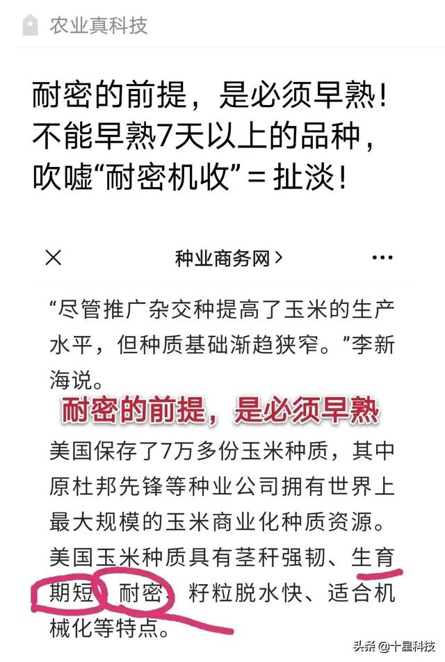 中外玉米专家5个证据：密植玉米，这一个条件必须满足