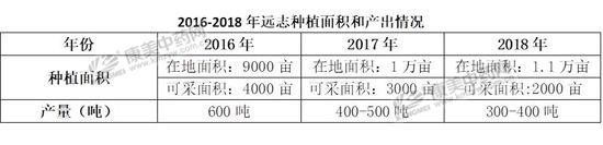 远志价格已经够高的了，2019年或仍将震荡上升！