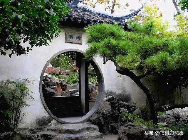 西南地区常用庭院植物汇总