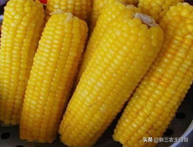 甜玉米、糯玉米等鲜食玉米的种植方案，亩产量过千斤