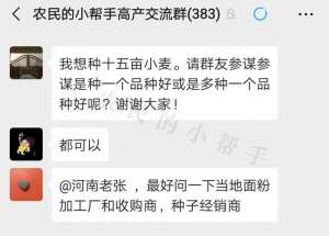 麦种 种植(家里有15亩地，准备种小麦，种植一个品种好还是多个品种好？)