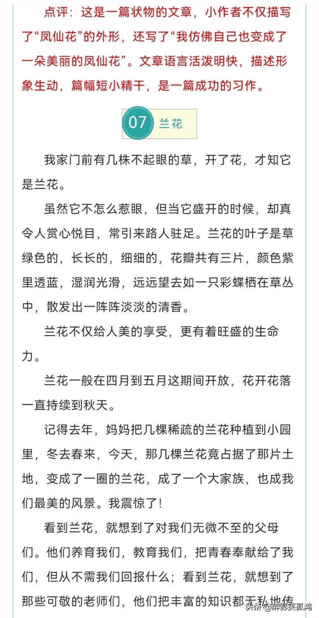 三年级语文下册习作1《我的植物朋友》范文，提供写作指导