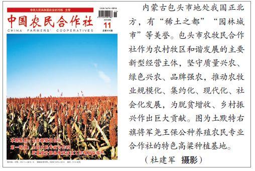 期刊之声｜“南瓜大王”石卫东：让南瓜成为百姓致富“金瓜蛋蛋”