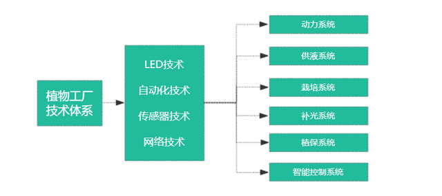 植物工厂发展势头迅猛：能耗降低是难点，应用拓展很关键