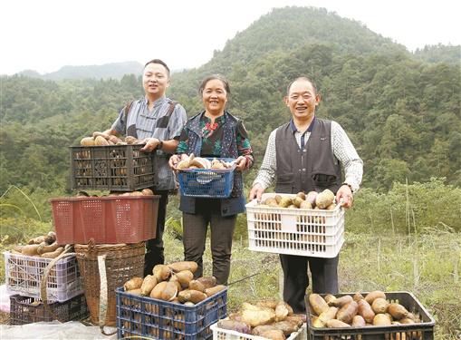 沅陵县：乘风破浪扬风帆